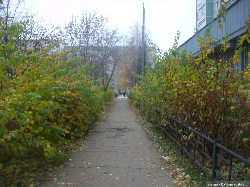 Ноябрьские прогулки - 2 — Игровые куклы разных производителей (Разное): редкие бренды