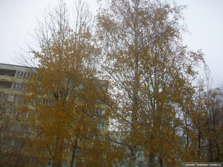 Ноябрьские прогулки - 2 — Игровые куклы разных производителей (Разное): редкие бренды