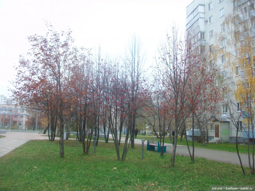 Ноябрьские прогулки - 2 — Игровые куклы разных производителей (Разное): редкие бренды