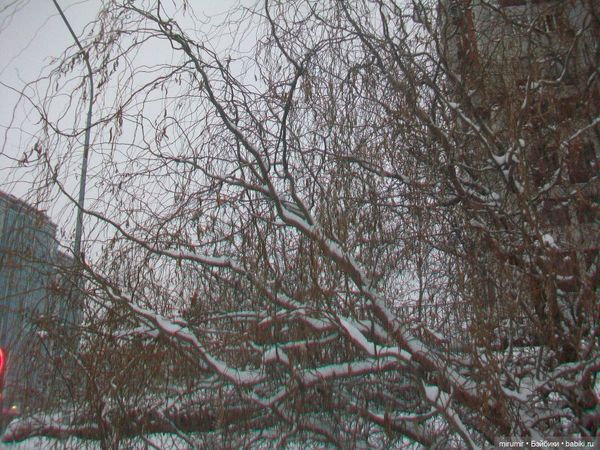 Декабрьские прогулки - 2 — Игровые куклы разных производителей (Разное): редкие бренды