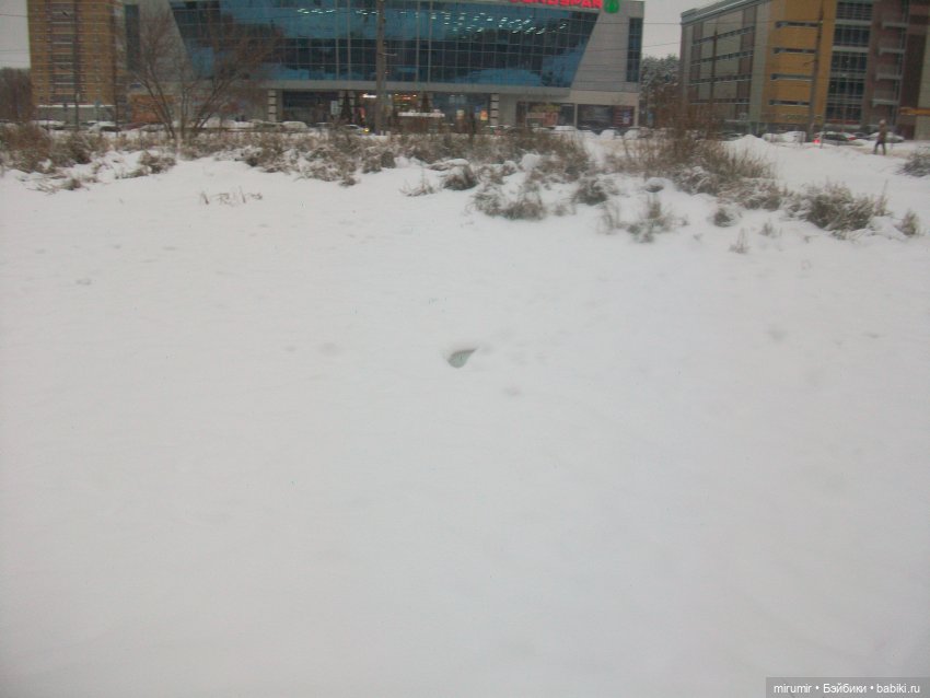 Декабрьские прогулки - 2 — Игровые куклы разных производителей (Разное): редкие бренды