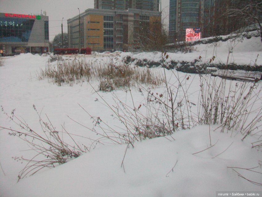 Декабрьские прогулки - 2 — Игровые куклы разных производителей (Разное): редкие бренды