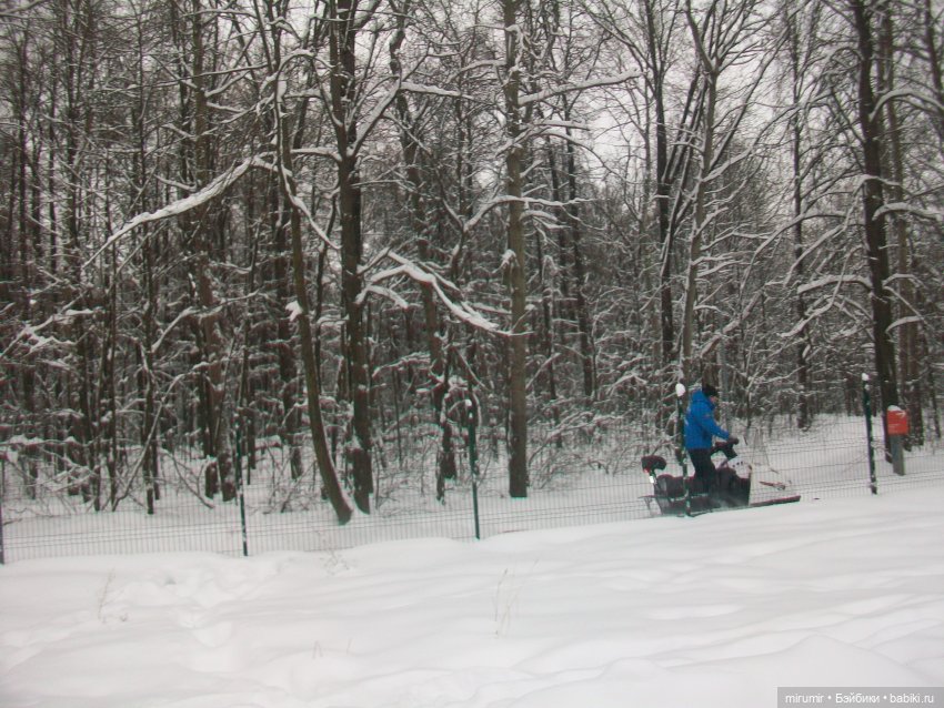 Первая в 2023 году прогулка в парке