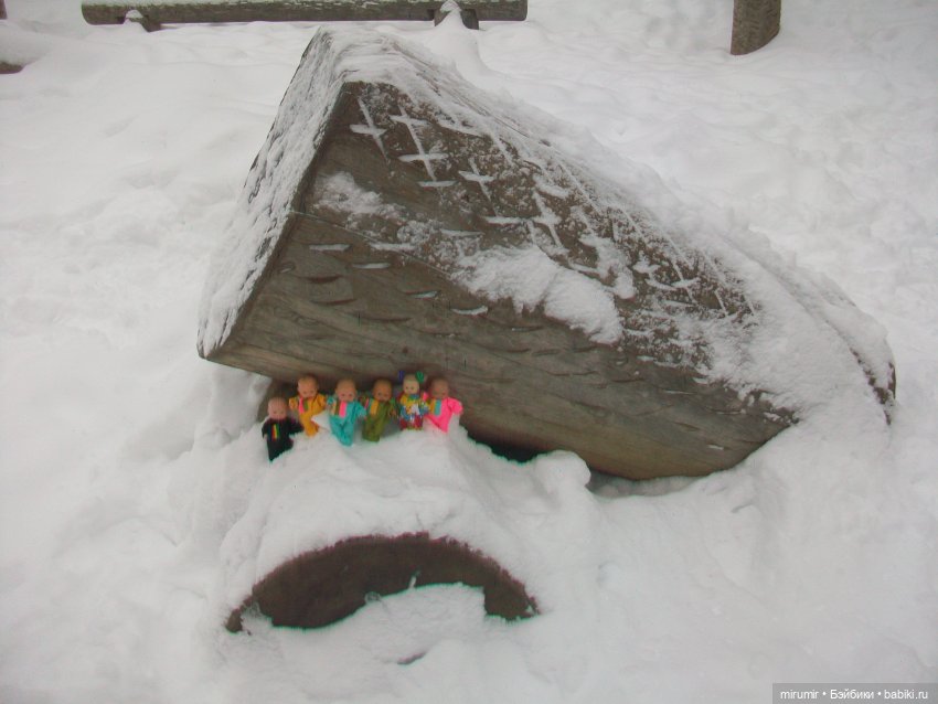 Первая в 2023 году прогулка в парке