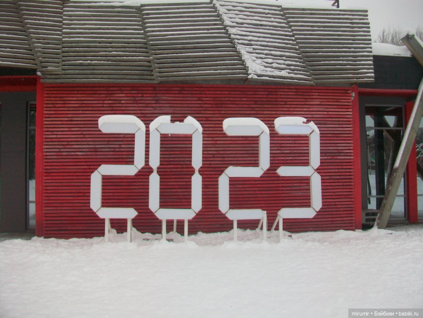 Первая в 2023 году прогулка в парке (фото 6)