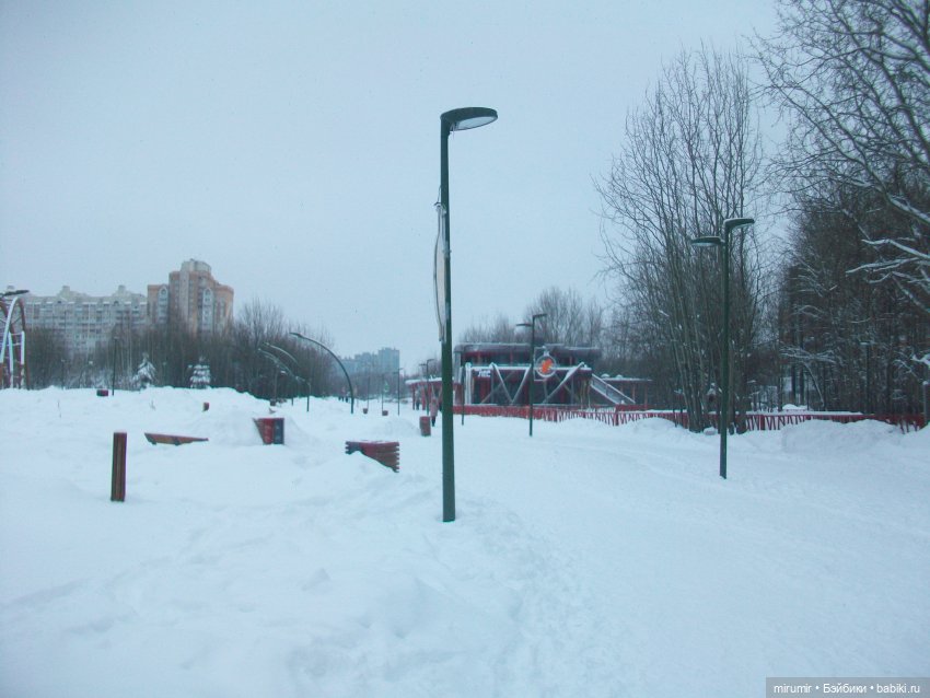 Первая в 2023 году прогулка в парке