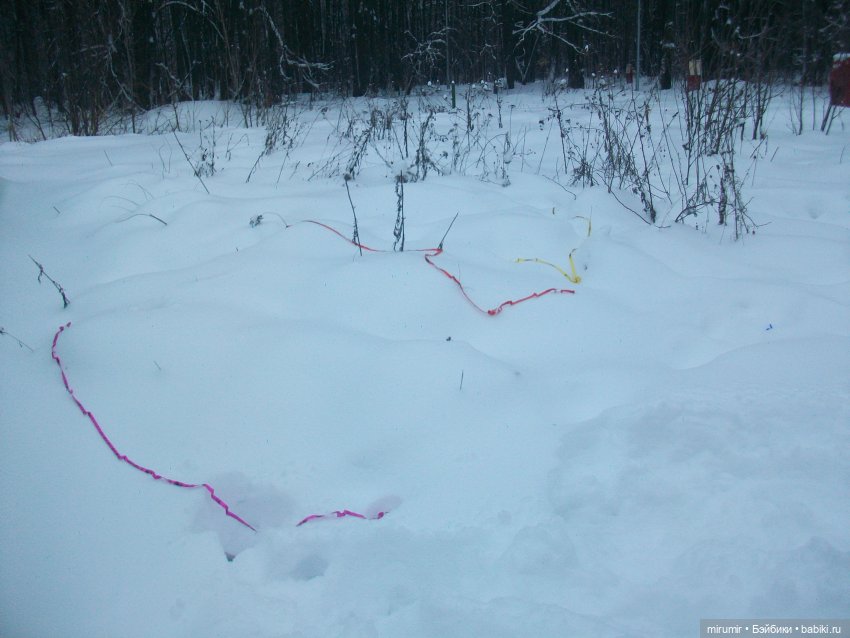 Первая в 2023 году прогулка в парке