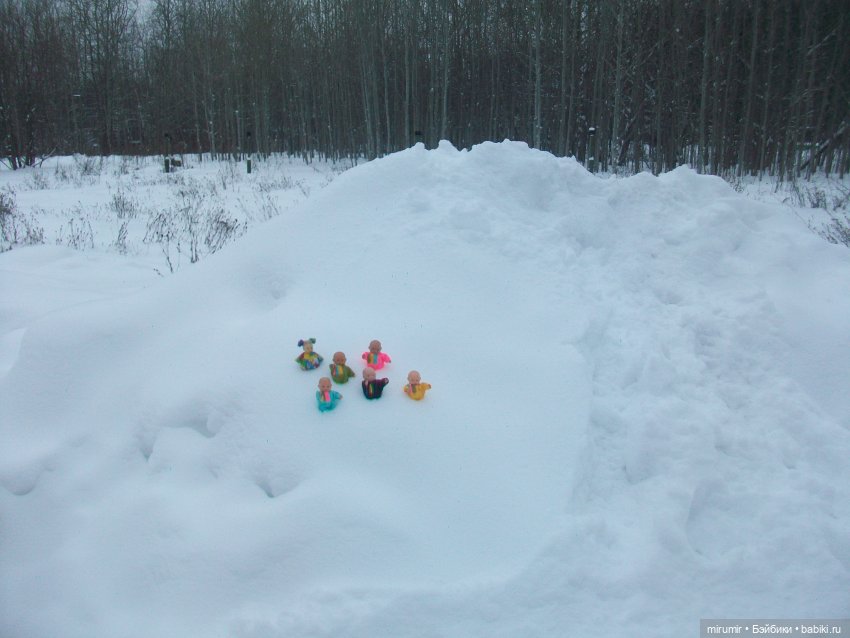 Первая в 2023 году прогулка в парке