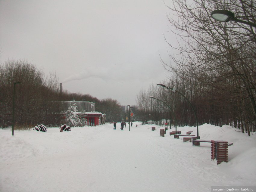 Первая в 2023 году прогулка в парке (фото 4)