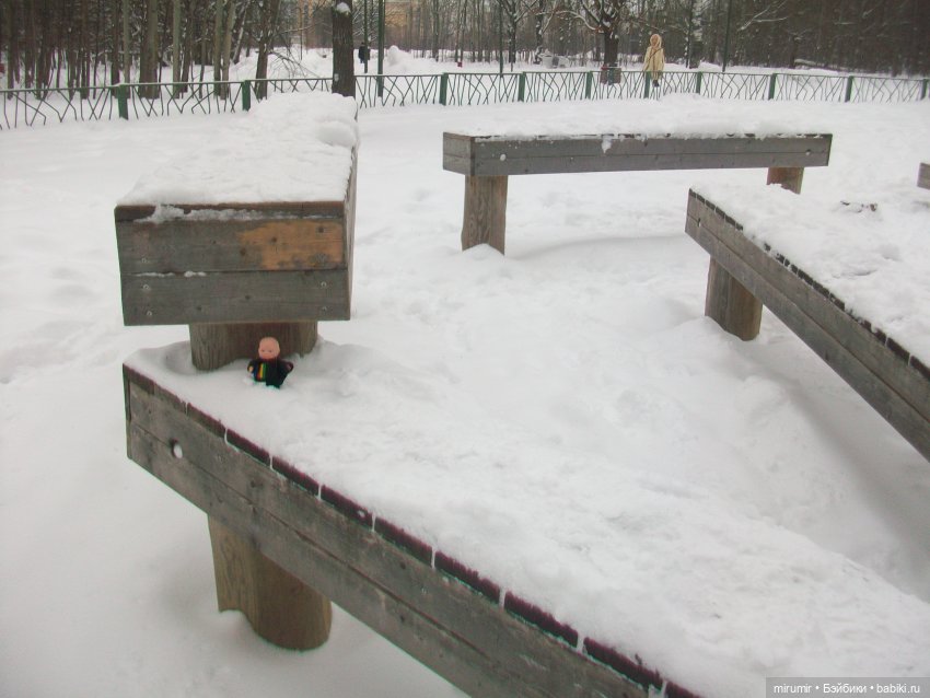 Первая в 2023 году прогулка в парке