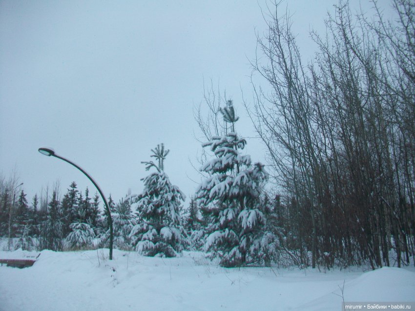 Первая в 2023 году прогулка в парке