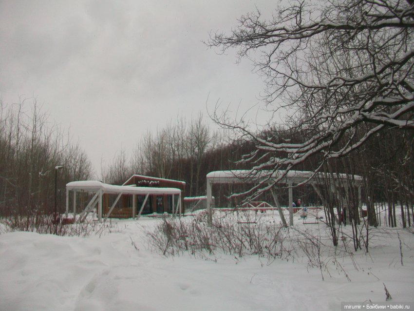 Первая в 2023 году прогулка в парке