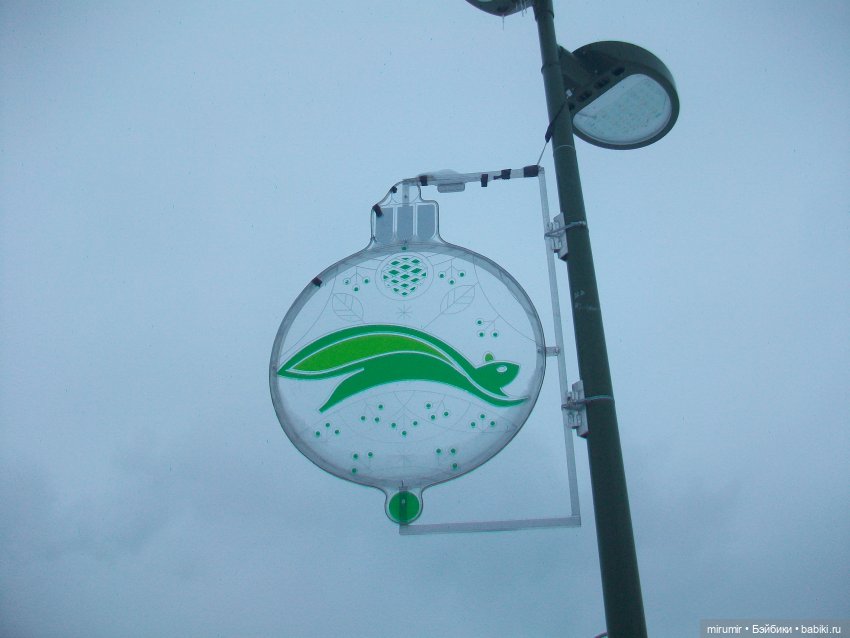 Первая в 2023 году прогулка в парке (фото 7)