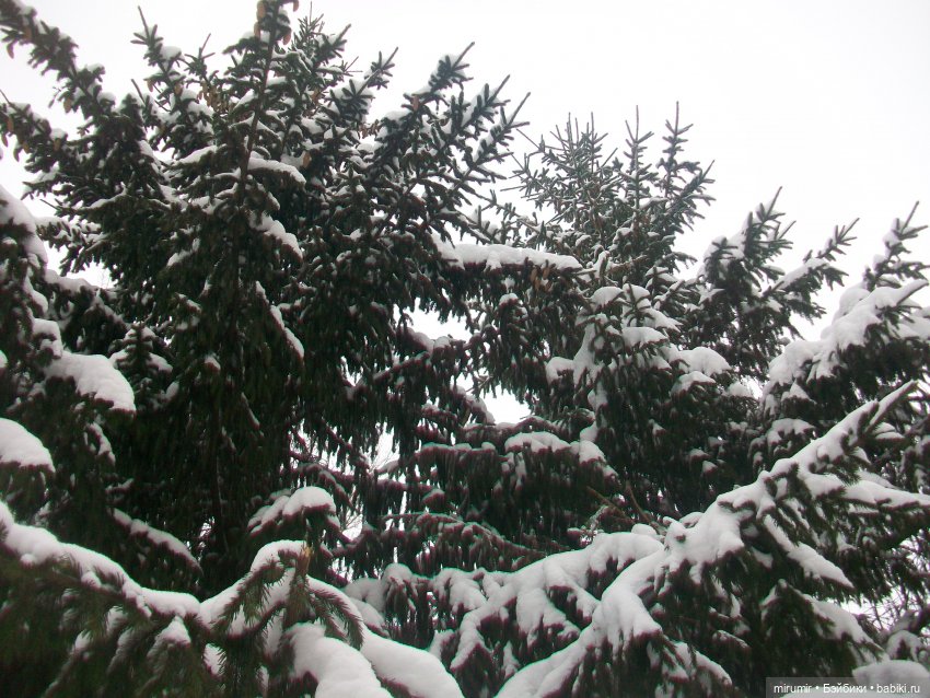 Первая в 2023 году прогулка в парке