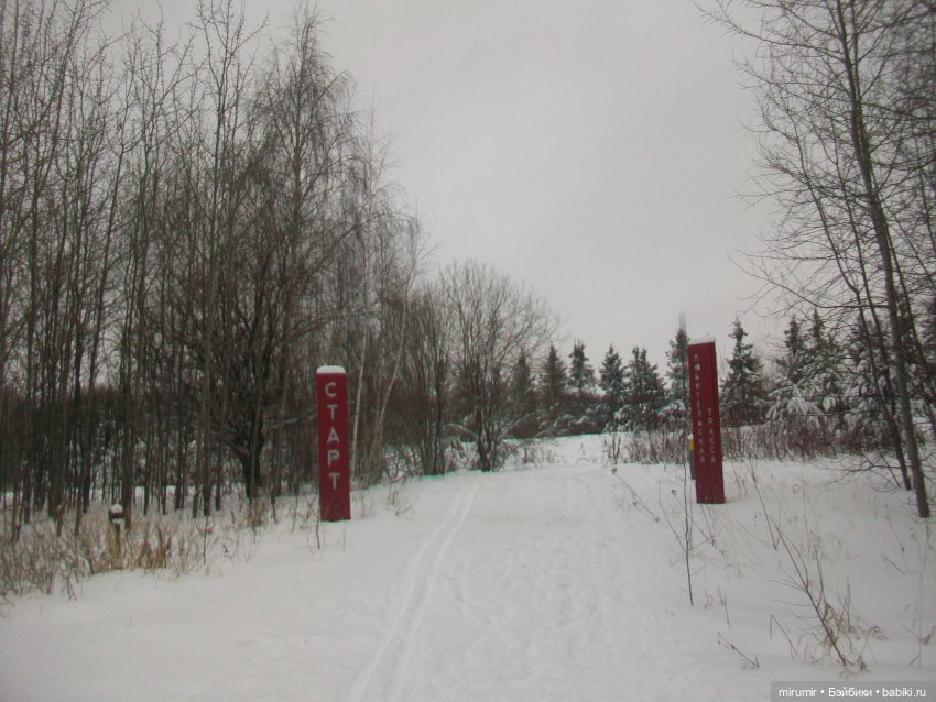 Первая в 2023 году прогулка в парке (фото 5)