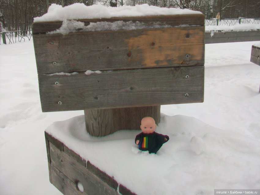 Первая в 2023 году прогулка в парке