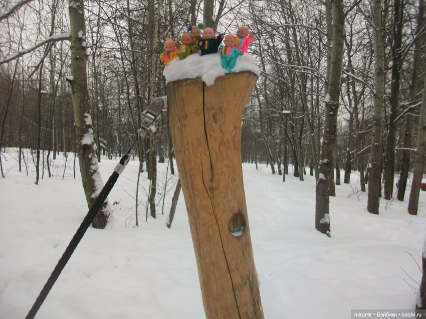 Первая в 2023 году прогулка в парке