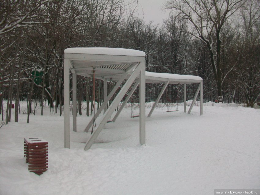 Первая в 2023 году прогулка в парке