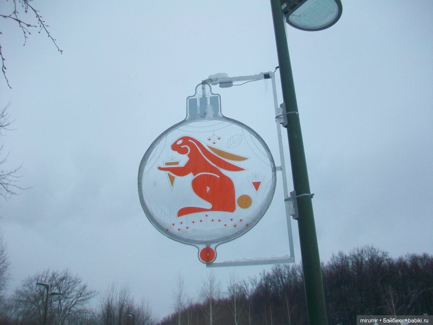 Первая в 2023 году прогулка в парке (фото 10)