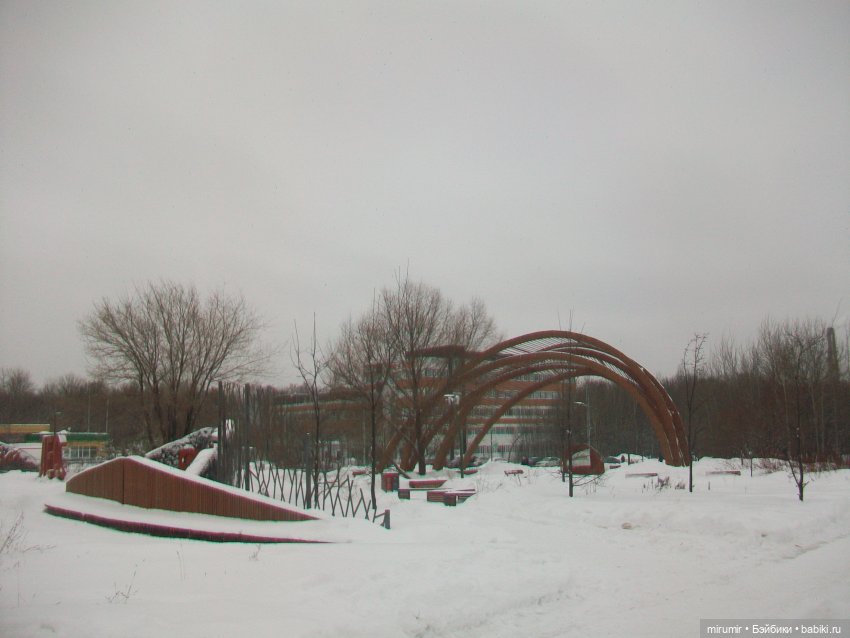 Первая в 2023 году прогулка в парке (фото 3)