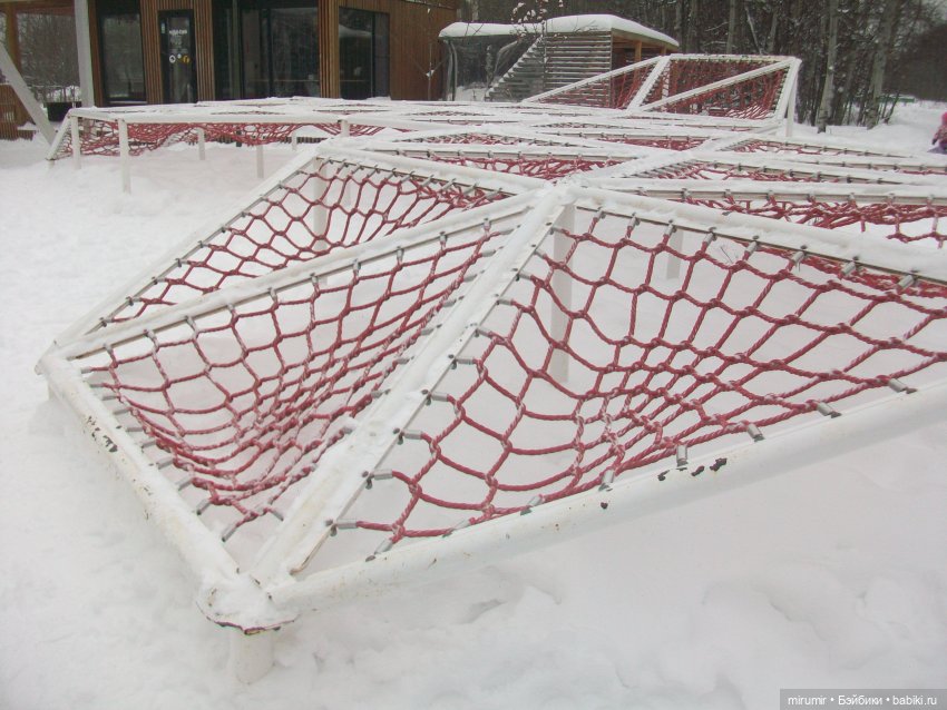 Первая в 2023 году прогулка в парке