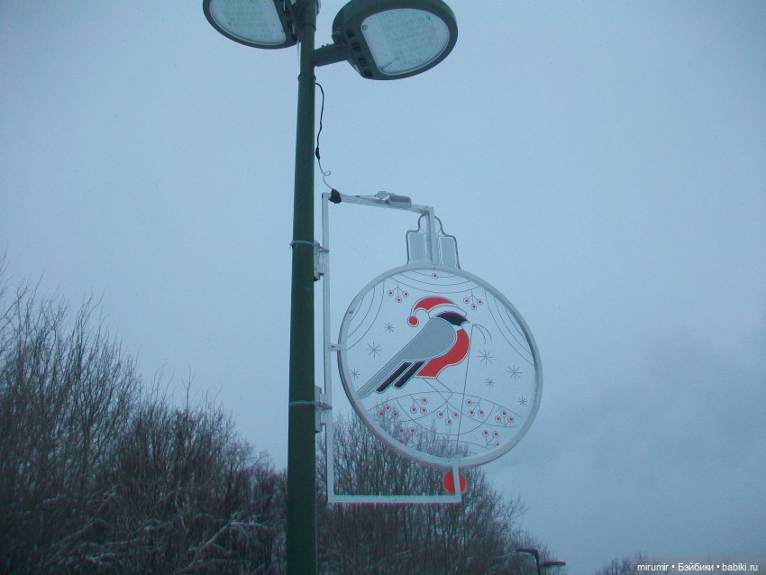 Первая в 2023 году прогулка в парке (фото 9)