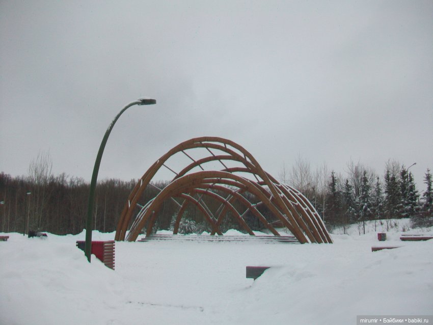 Первая в 2023 году прогулка в парке (фото 8)