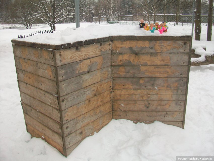 Первая в 2023 году прогулка в парке