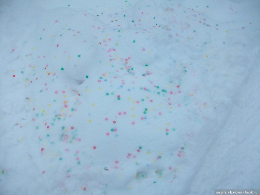 Первая в 2023 году прогулка в парке