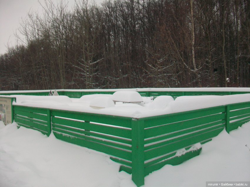 Первая в 2023 году прогулка в парке