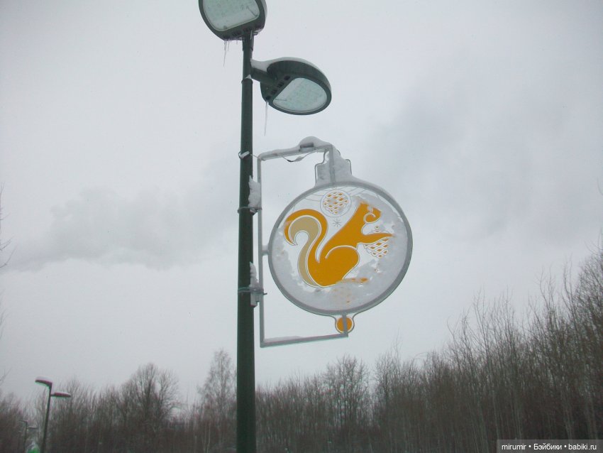 Первая в 2023 году прогулка в парке