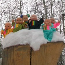 Первая в 2023 году прогулка в парке