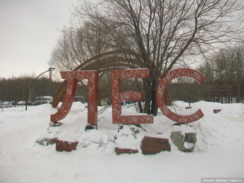 Лыжня России - 2023 — Игровые куклы разных производителей (Разное): редкие бренды (фото 3)