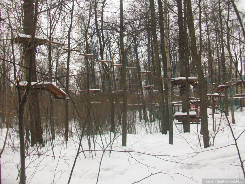 Лыжня России - 2023 — Игровые куклы разных производителей (Разное): редкие бренды