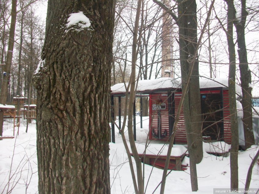 Лыжня России - 2023 — Игровые куклы разных производителей (Разное): редкие бренды