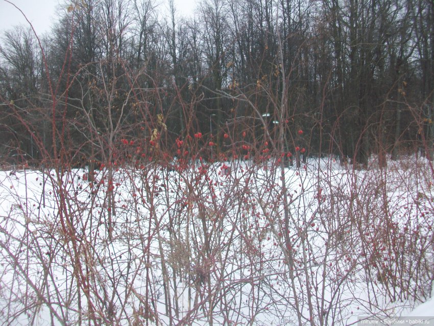 Лыжня России - 2023 — Игровые куклы разных производителей (Разное): редкие бренды