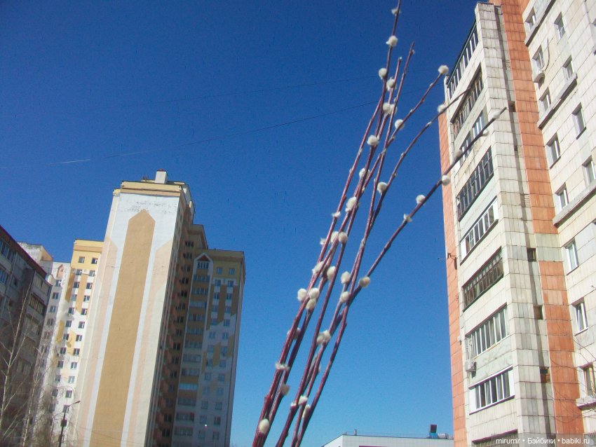 Сегодня Вербное воскресение