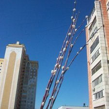 Сегодня Вербное воскресение!