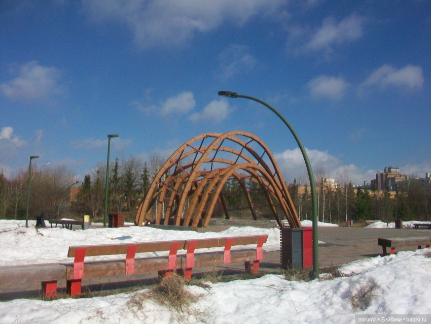 Мартовская прогулка в нашем парке (фото 3)