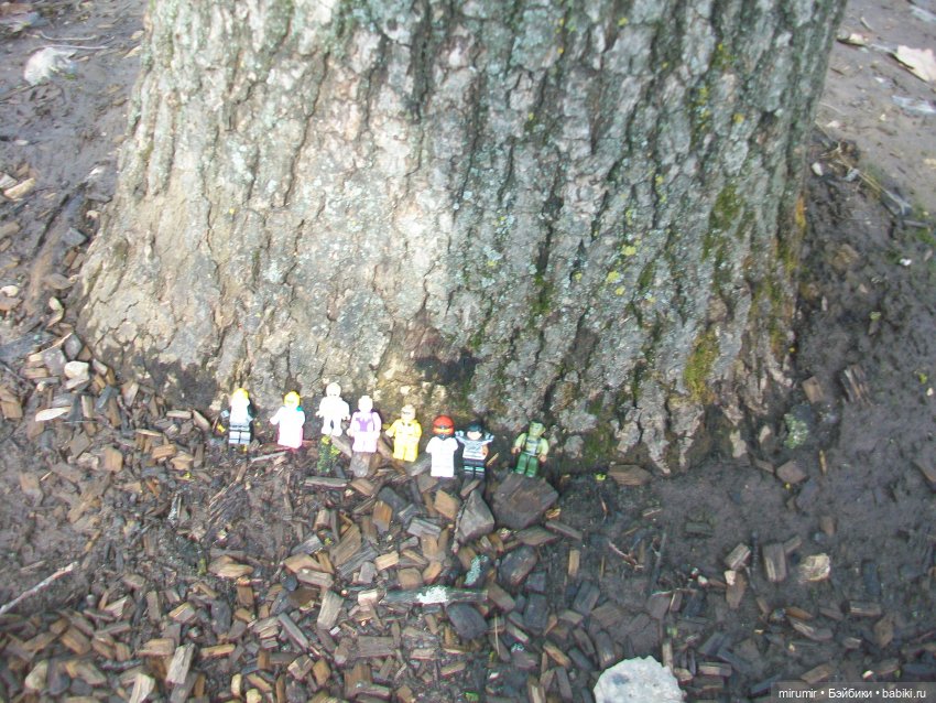 Мартовская прогулка в нашем парке