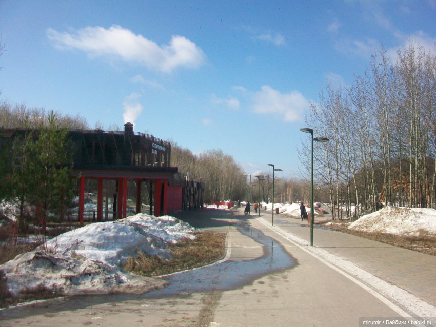 Мартовская прогулка в нашем парке (фото 2)