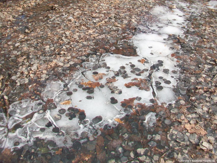 Мартовская прогулка в нашем парке