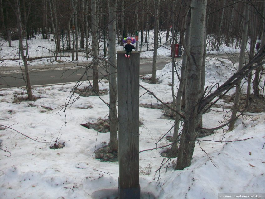 Мартовская прогулка в нашем парке
