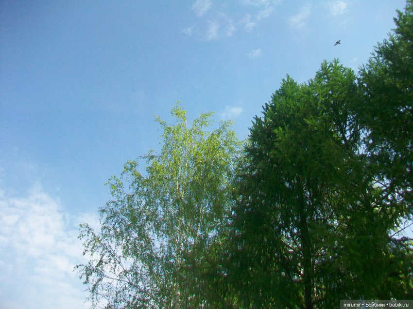 Сегодня 1 Мая — Игровые куклы разных производителей (Разное): редкие бренды (фото 10)