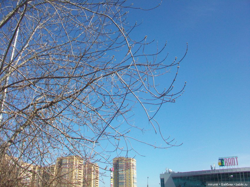 Мартовская прогулка на озеро (фото 4)