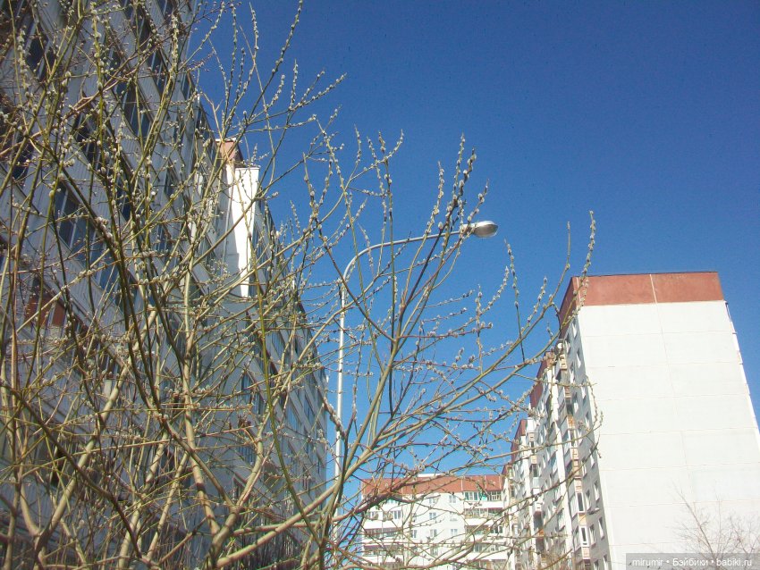 Мартовская прогулка на озеро (фото 2)