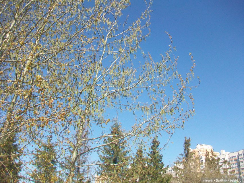 Апрельская прогулка в парке