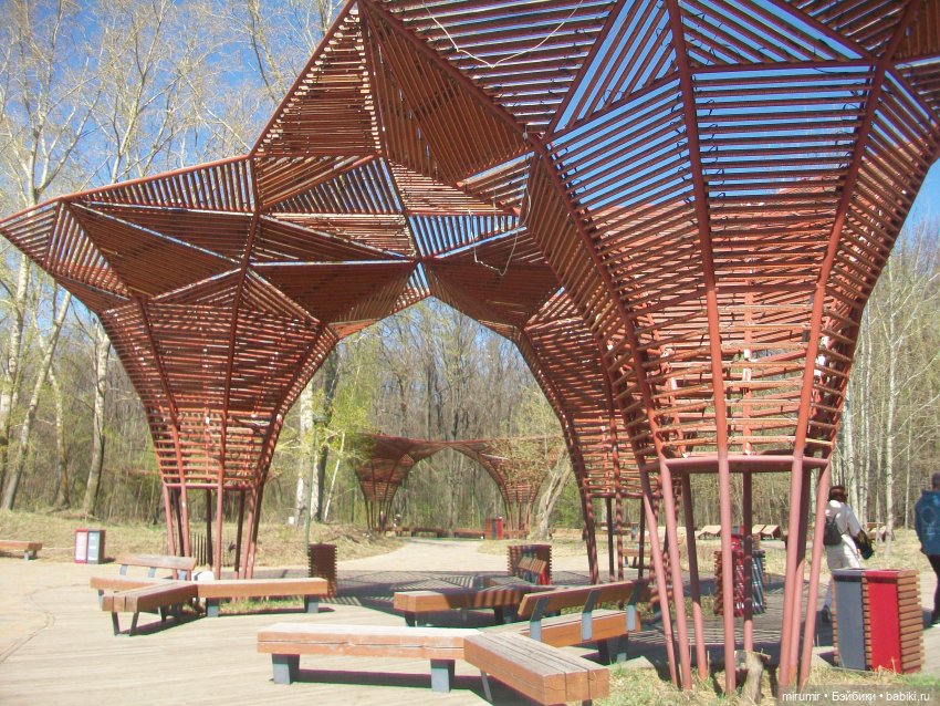 Апрельская прогулка в парке