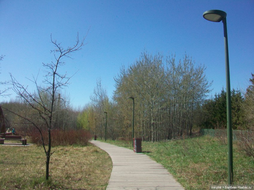 Апрельская прогулка в парке