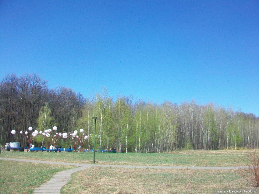 Апрельская прогулка в парке (фото 5)